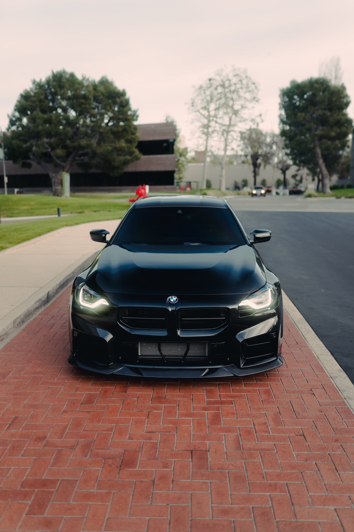 BMW Alpha N Front Grilles Carbon Fibre G87 M2 2023+