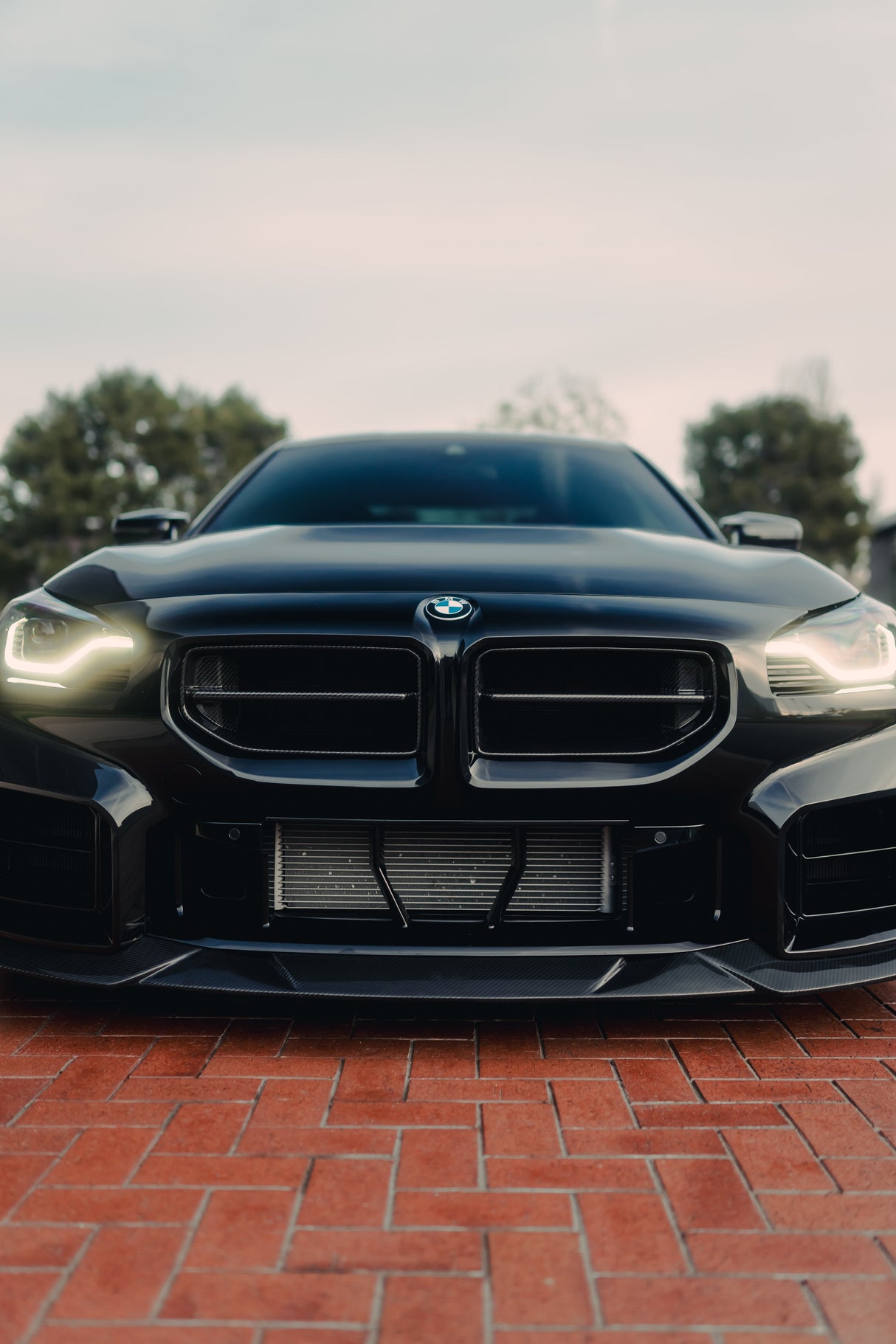 BMW Alpha N Front Grilles Carbon Fibre G87 M2 2023+